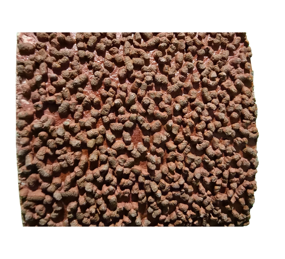 Compact Grain Structured Finishing Belts